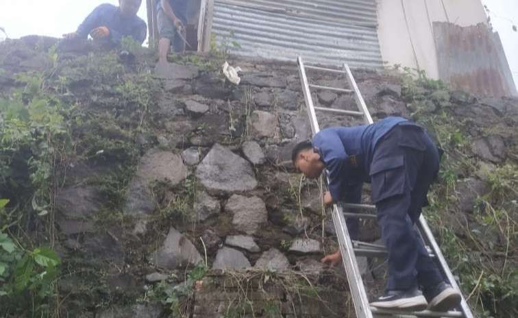 Aksi Heroik Petugas Damkar Selamatkan Kucing di Atap Rumah Warganet Terharu